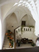 Náhodný výběr z galerie